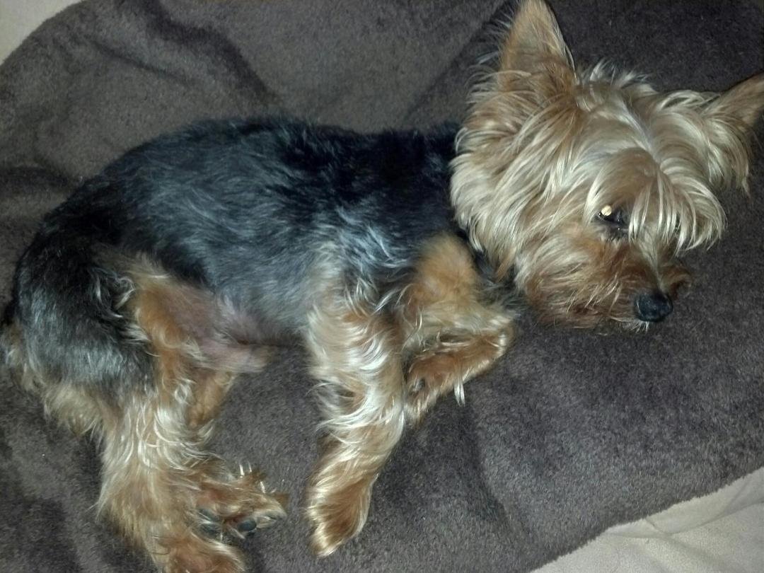 I'm falling in love but I know he has to belong to someone in the neighborhood!