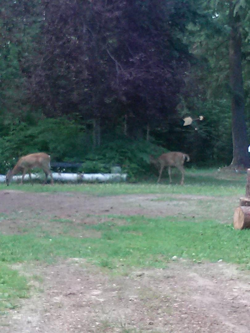 THIS IS AT MY FRIENDS PLACE IN IDAHO.