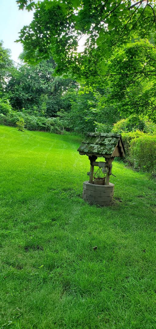 Our little Wishing well but hasn't given any wished