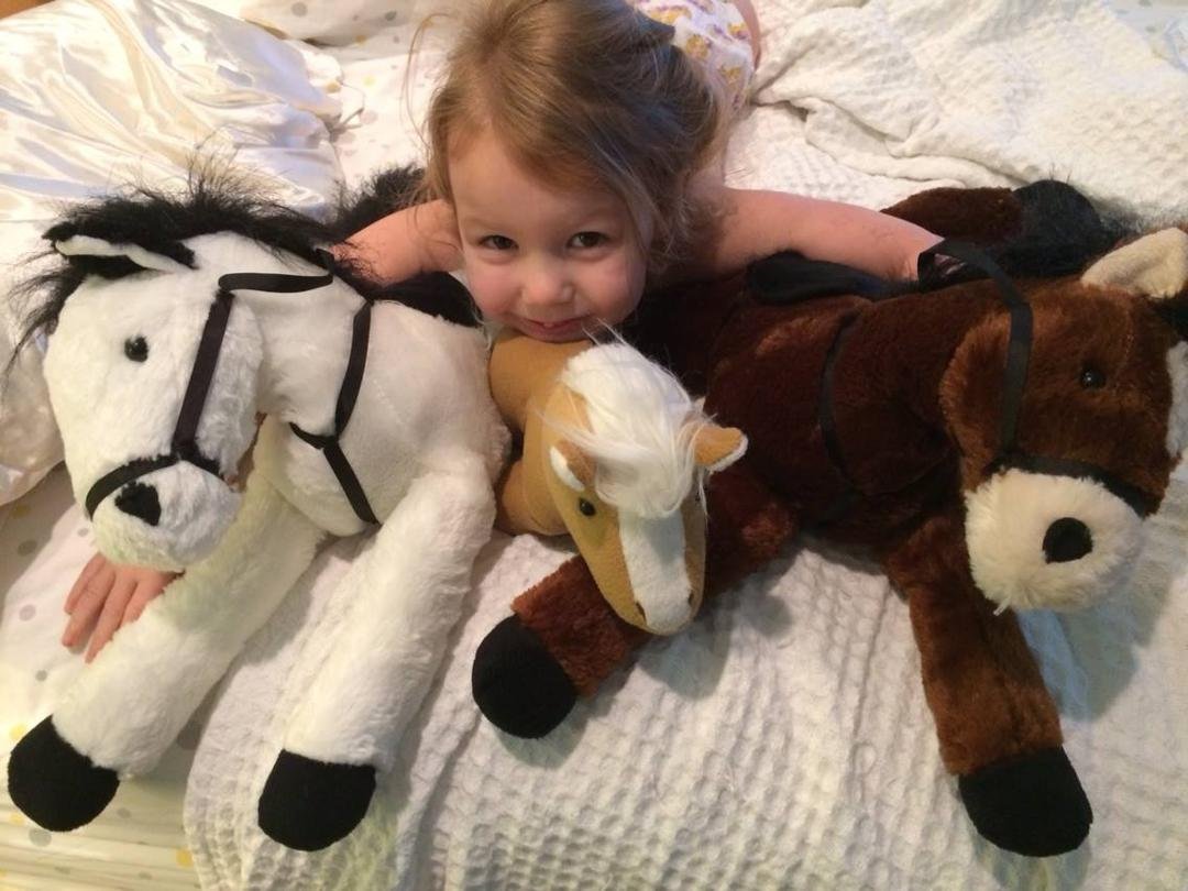 Bella and her stable of ponies!