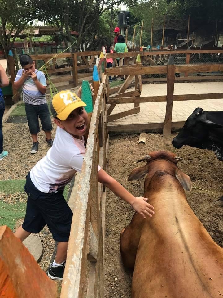 Danny Suarez's album, Mobile Uploads