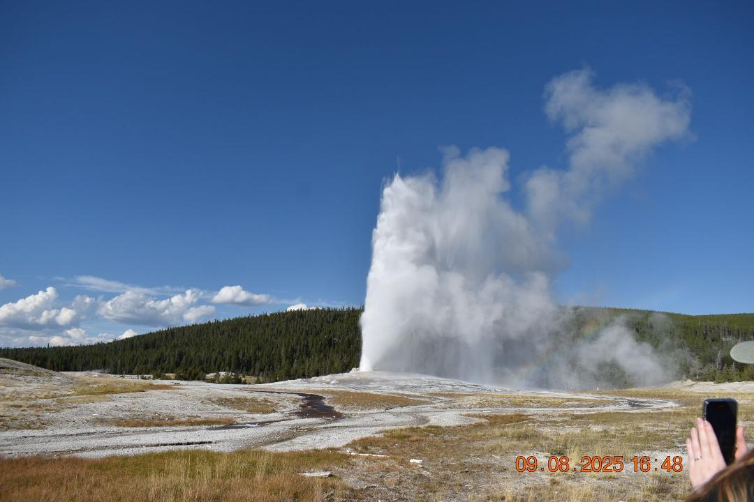 Old Faithful!