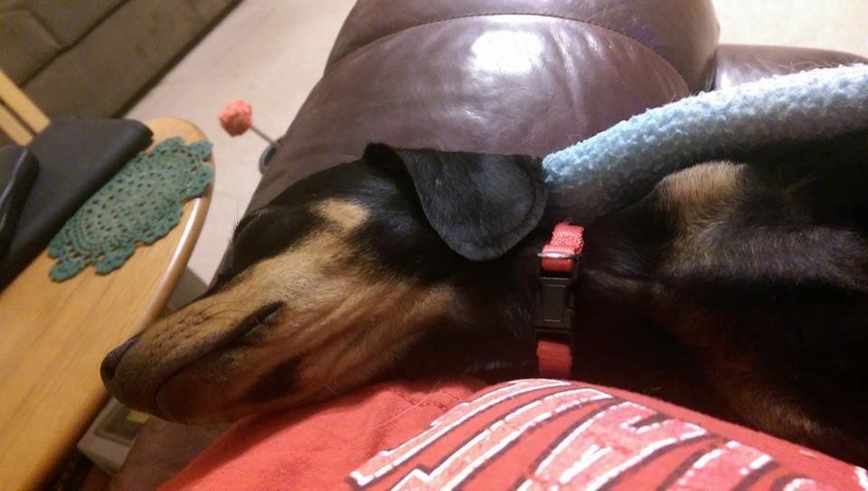 She's had a rough day lol