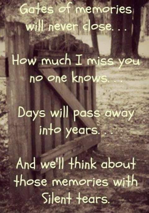 Mary Halase's album, Mobile Uploads