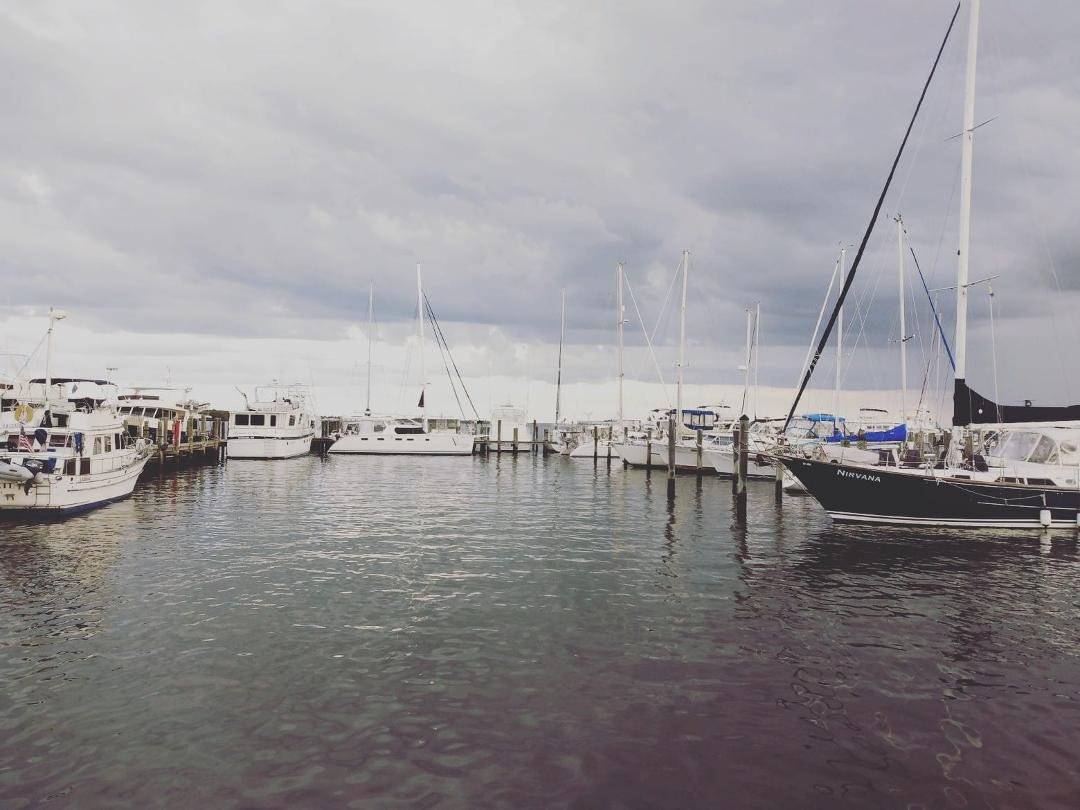 Impending Storm Nettles Island 🏝️