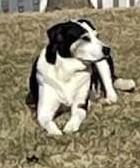 Rob (Rocky) Georgen's album, Timeline photos