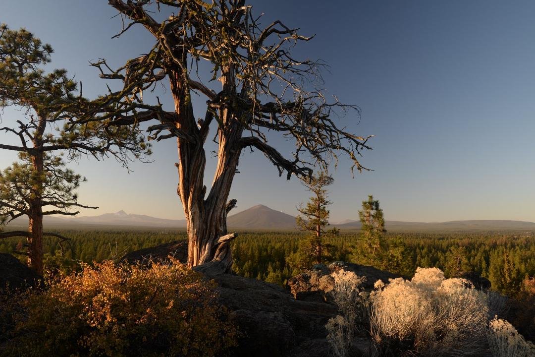 Eagle Rock in Sisters OR.  Mt. Washington on left, Black Butte with Mt. Jefferson peaking from behind.
