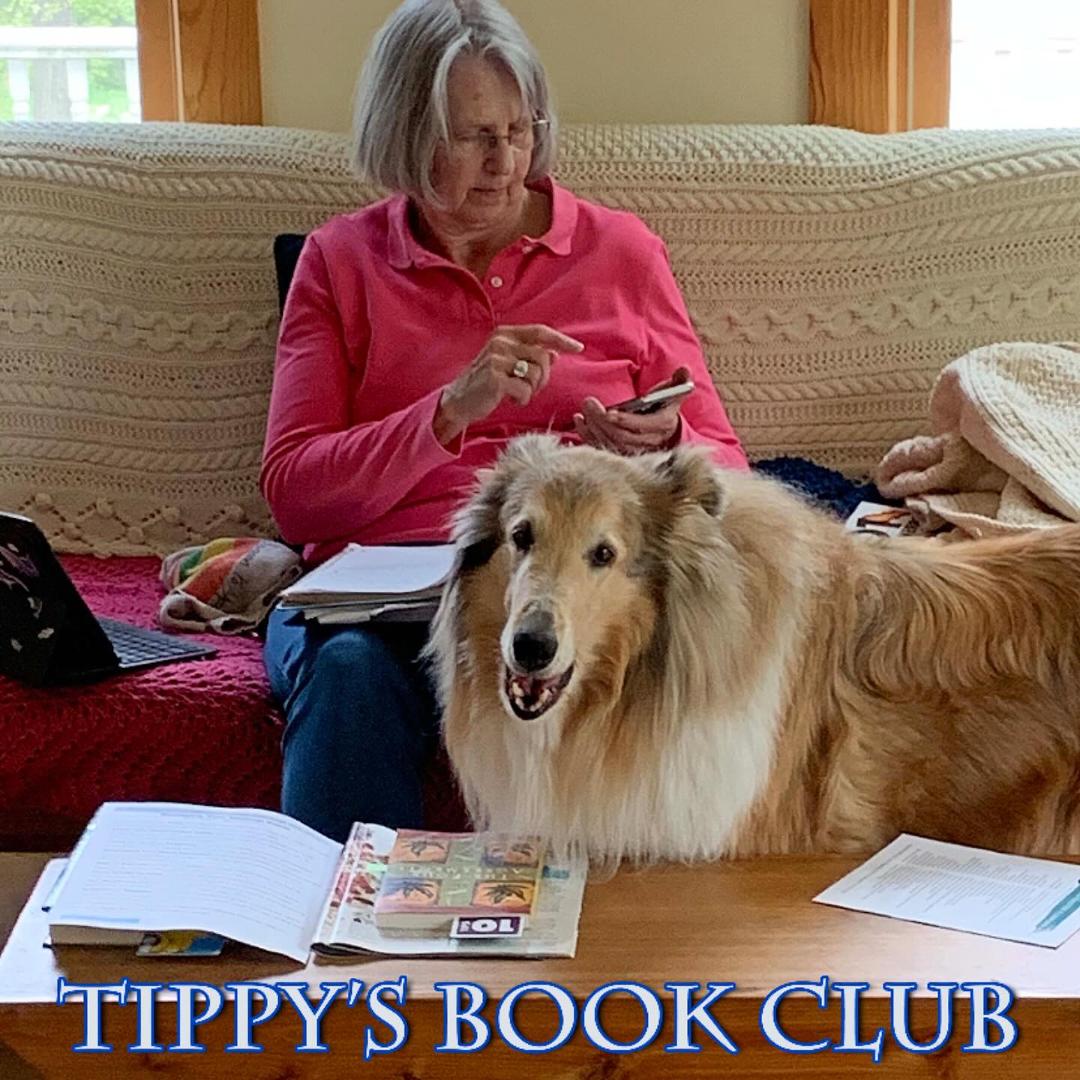 Debby agreed to join my book club! Our first selection is The Four Agreements written by Don Miguel Ruiz. Apparently, the agreements don’t include feed Tippy, pamper Tippy, groom Tippy and play with Tippy. What else could t