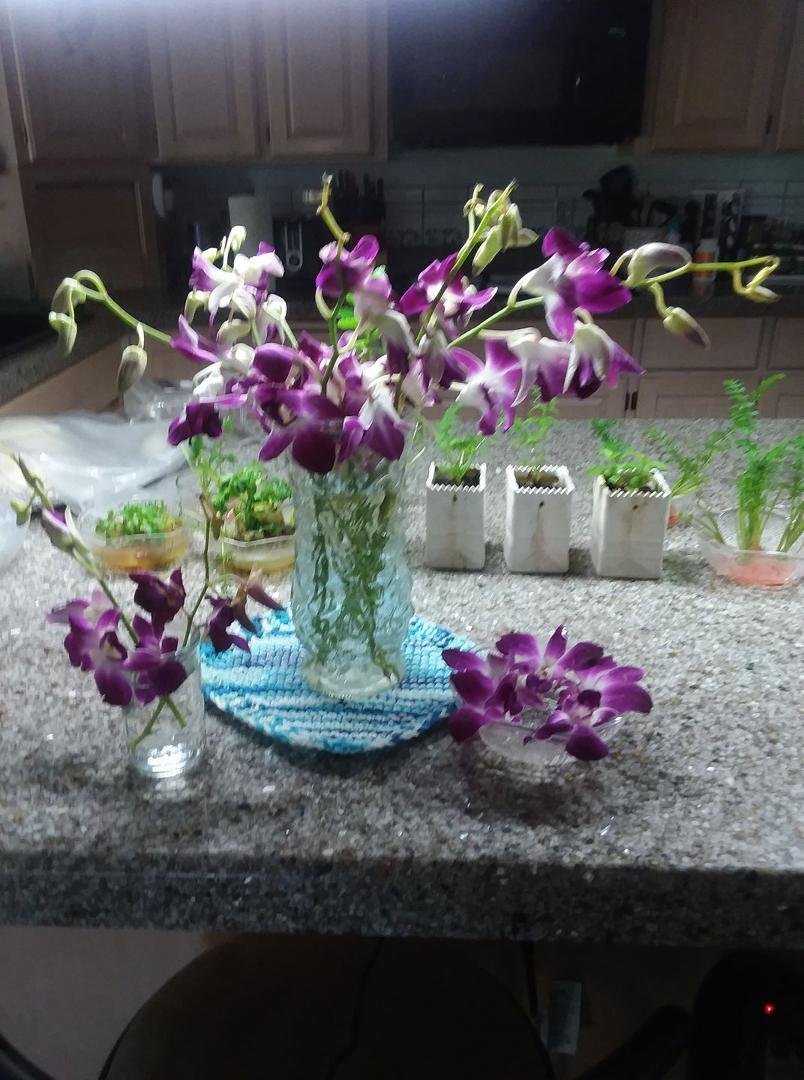 From Chris & Laura, orchids. All beautiful.