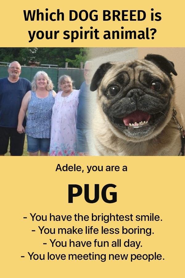 Adele Hain's album, Timeline Photos