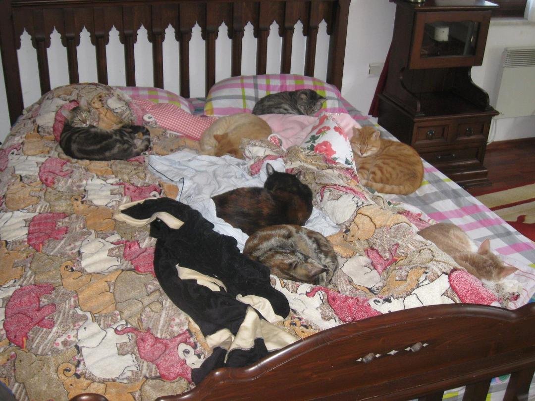 some years later much has changed--this is still the place I used to sleep