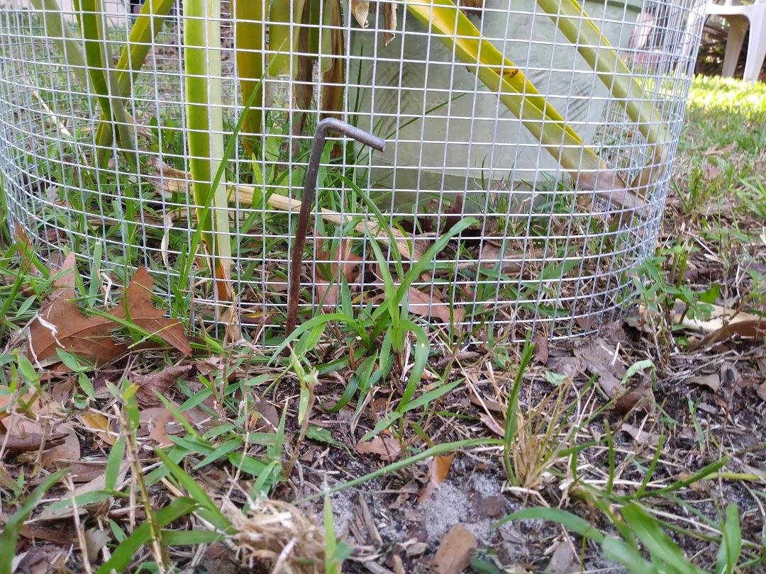 I used eight tent anchors to secure it to the ground and I used tie wires to fasten it all together.