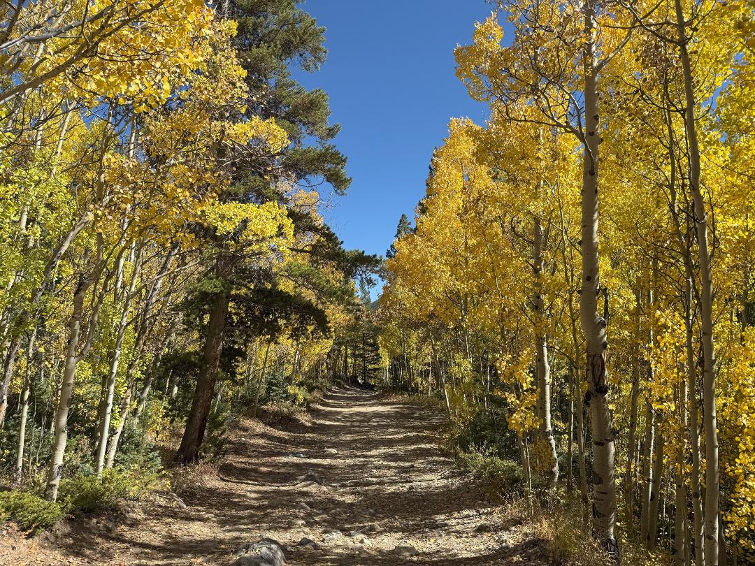 The colors were amazing. 10 miles and 1,850' elevation gain, a fantastic day!