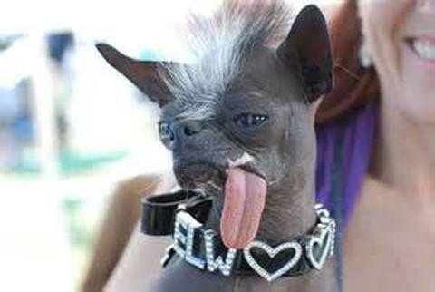 I want to give you a big wet kiss.