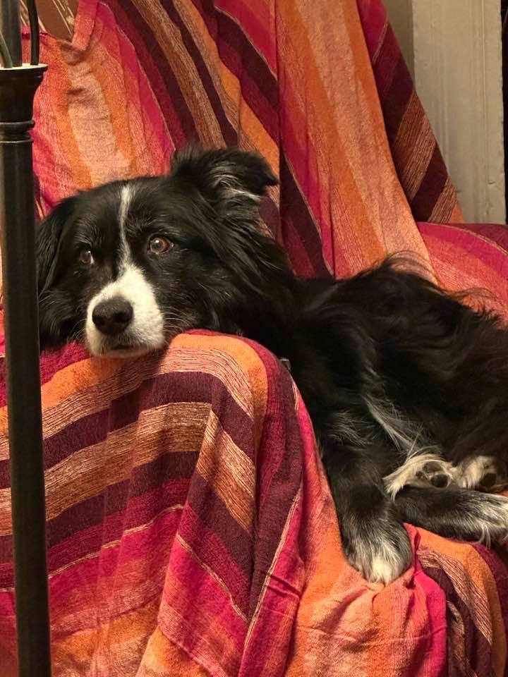 Ooops caught in snooze mode
