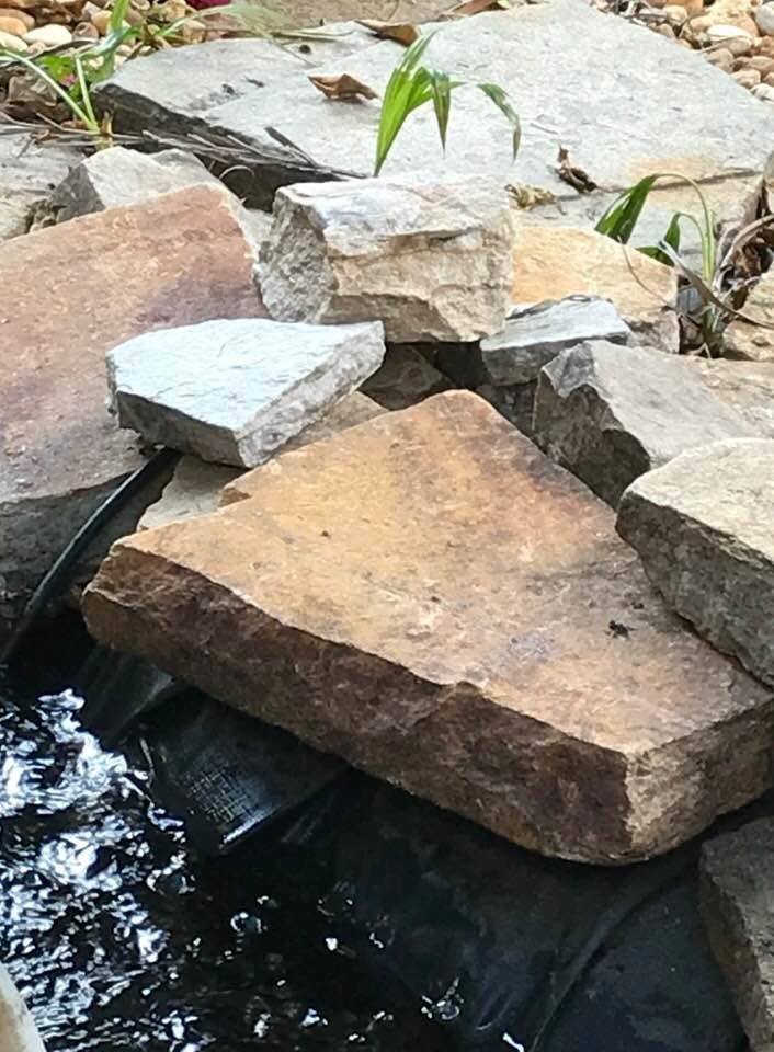 Here are some spectacular rocks in my backyard around the pond.