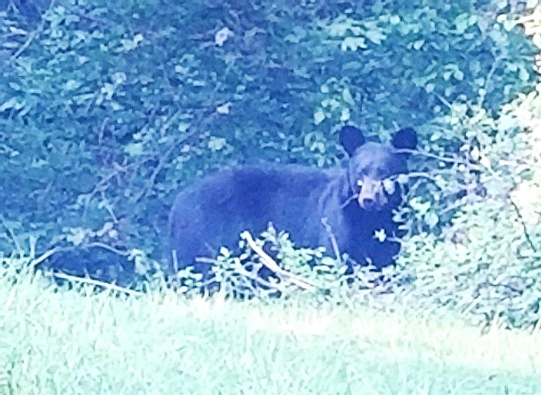 This is what greeted me when I got home from Tim's tonight. Needless to say I spent some time sitting in my car, as I was not in the mood for company.