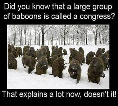 Interesting !