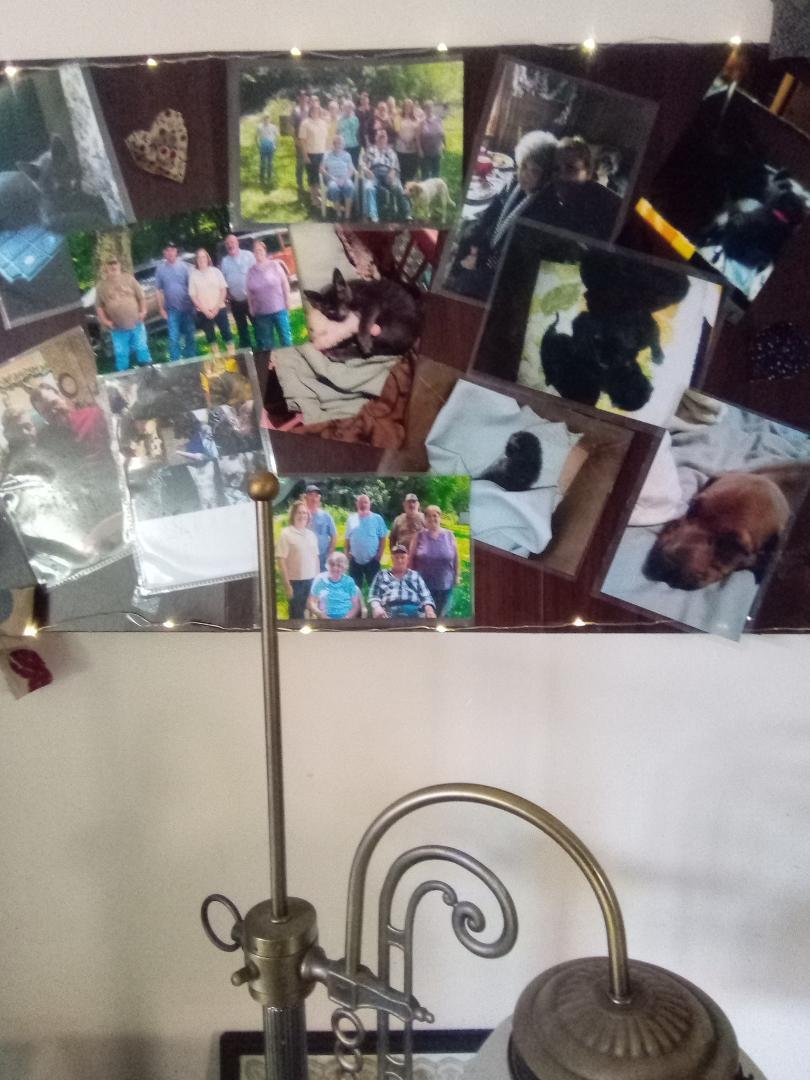 My little project. What do you all think?