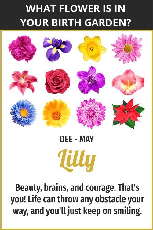 Dorella Beaudoin's album, Timeline Photos
