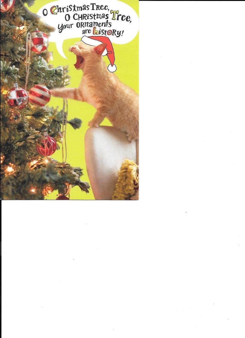 For Susan McClelland from my kitty to yours