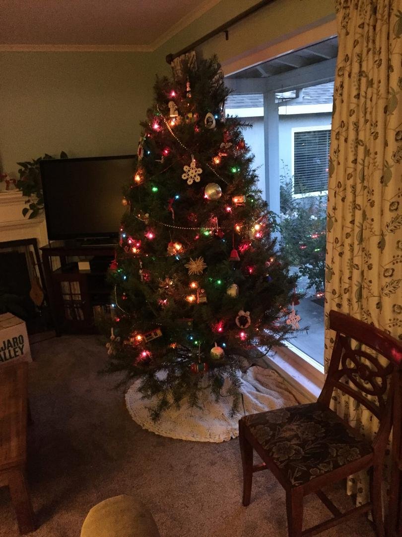 Barbara Shev's album, Mobile Uploads