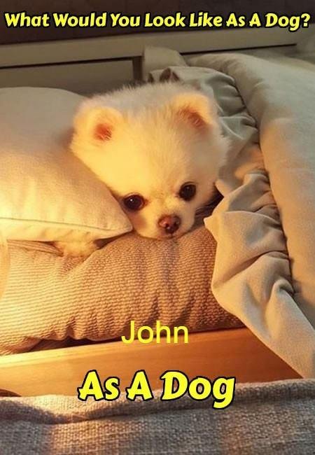 John Franceschini's album, Timeline Photos