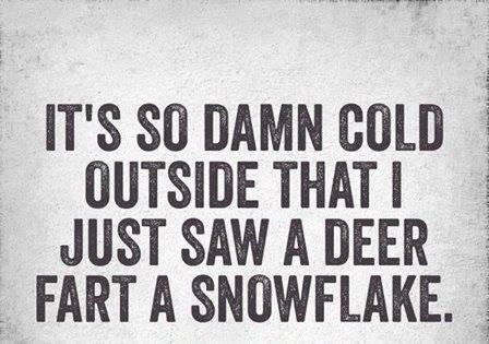 Beth Schuster's album, Timeline photos