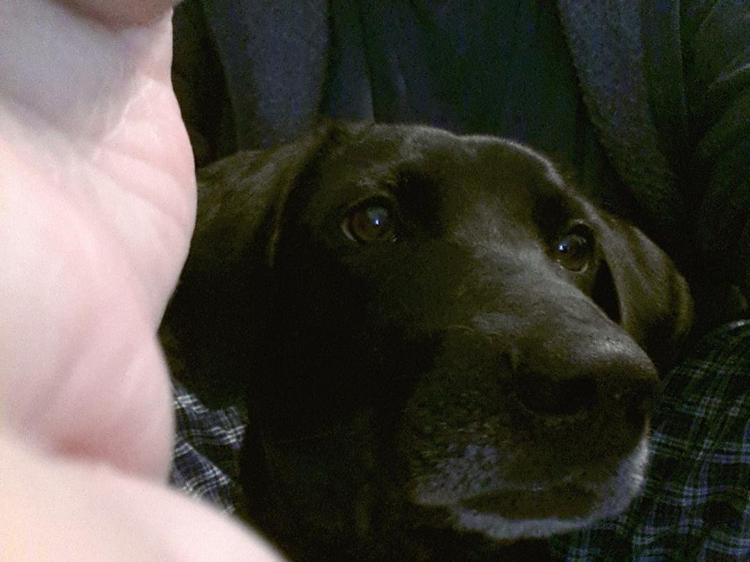 Sammi says good mornning