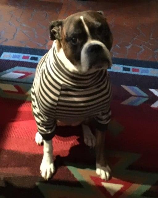 Ginger and Robert Patterson's album, Timeline photos
