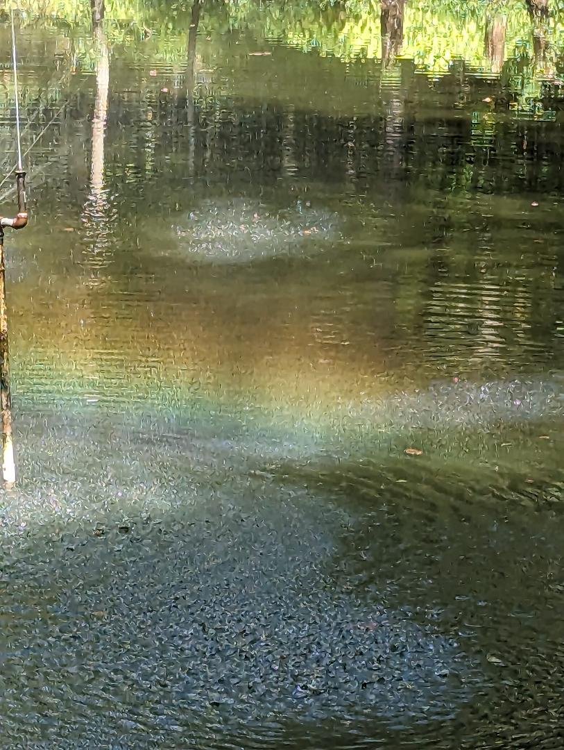 It's a rainbow at the fountain in the pond.