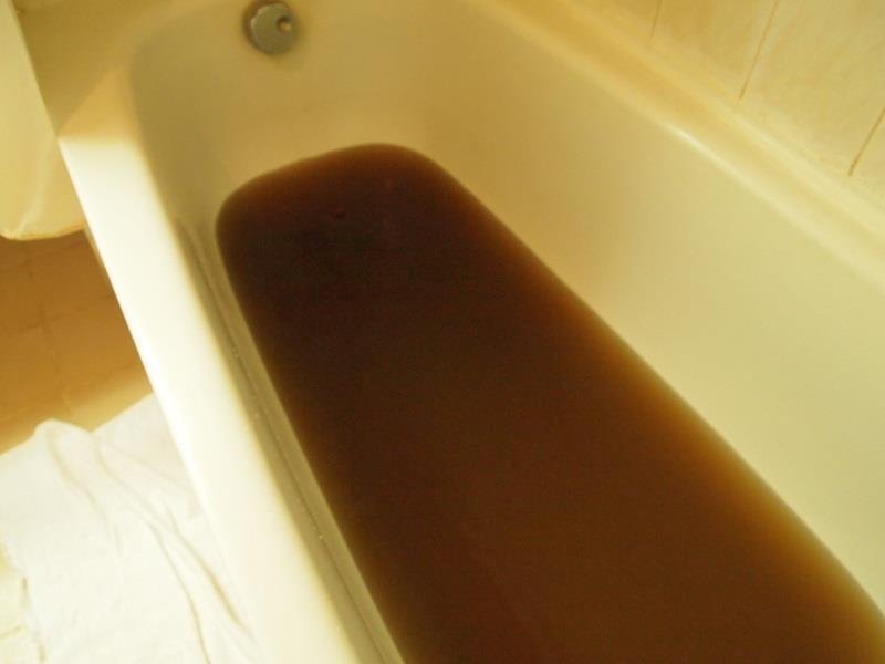 The good, the bad and the ugly!   Snorkeling in Djibouti with whale sharks....cracked a rib.   My bathtub in Chad.   I decided to postpone my bath in hopes that it will be better in the morning.