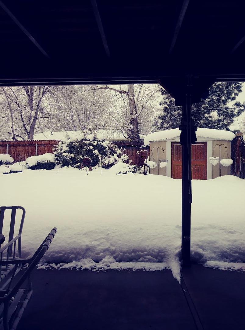 Looking out our back door - well over one foot of snow (3-16-18). Our entire winter in the month of March.