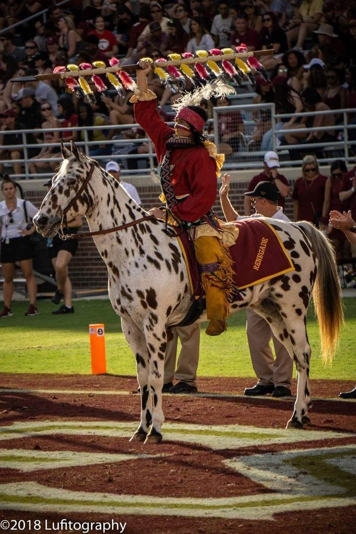 Going through some old photos I've taken. This is my fave of Osceola and Renagade.