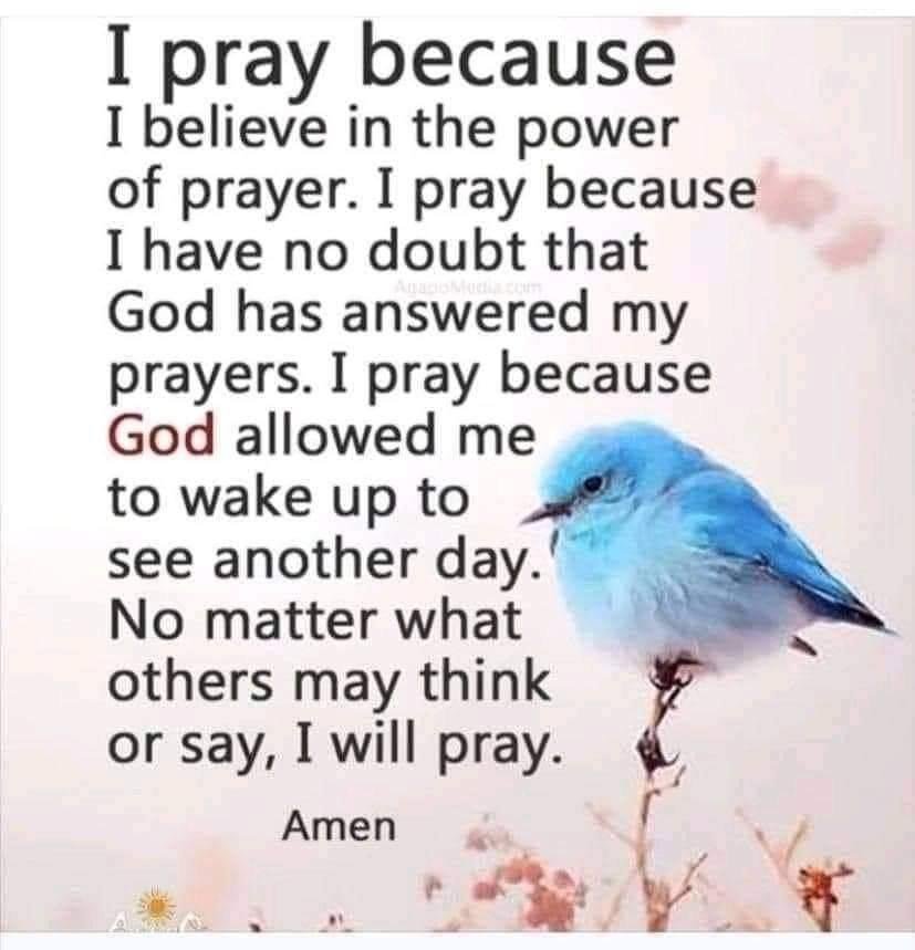 Julia Dobbins' album, Timeline Photos