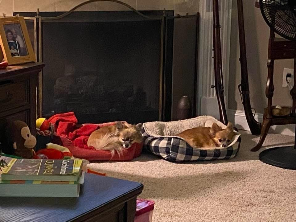 Kid’s are finally in bed!