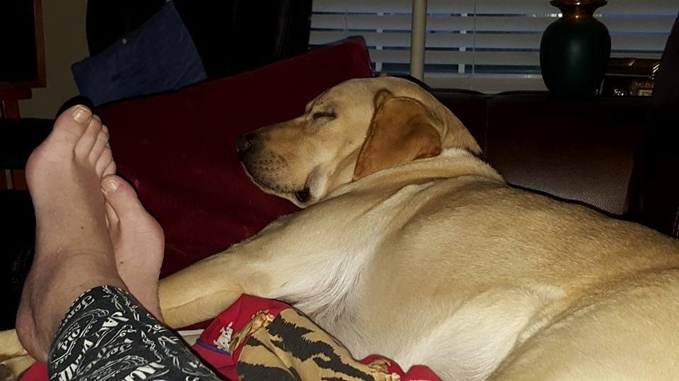 Yeah, he spent 3 days at the kennel partying hard as he could during our the Hickey family reunion trip. It's a dog's life. Sweet dreams Enzo.