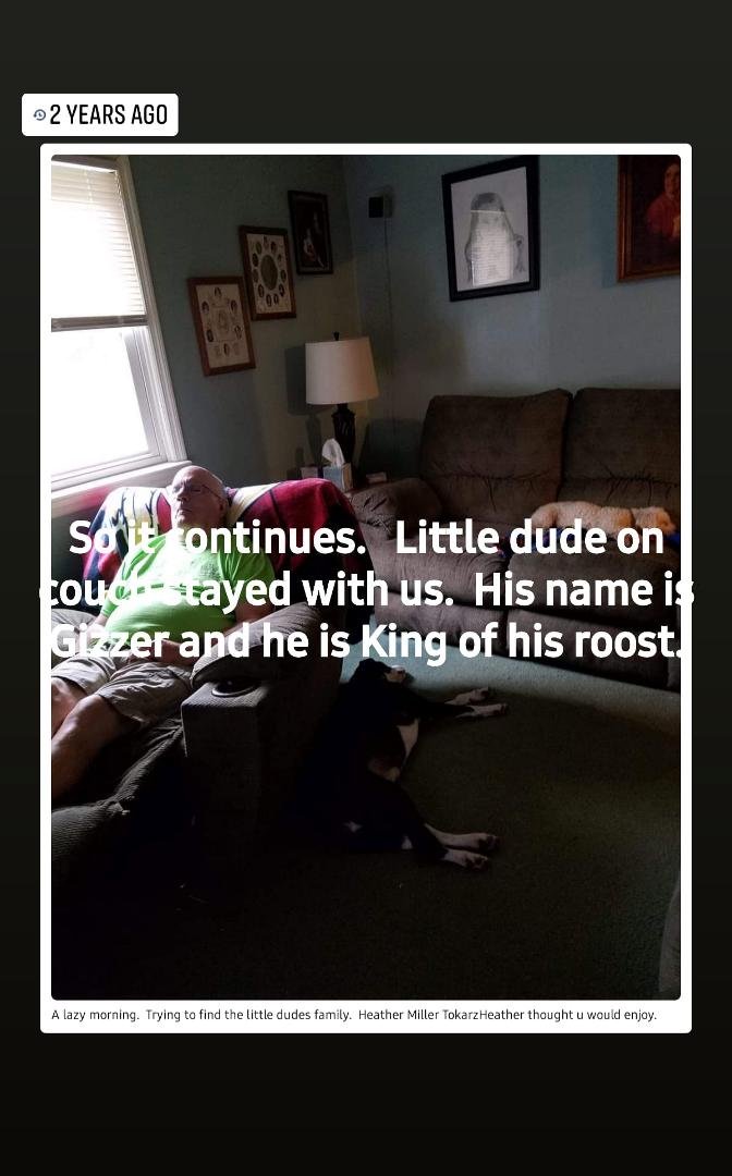 So it continues.   Little dude on couch stayed with us.  His name is Geezer and he is king of his roost.
