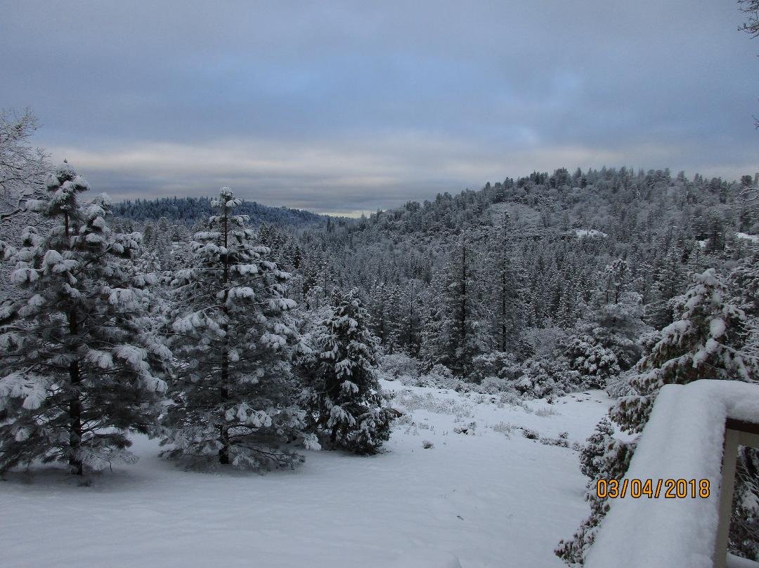 Happy Sunday all!  Well, we got another 2-1/2" of snow last night.  Made all the trees white again!   Cloudy skies this morning and currently 30F outside.  Should turn partly cloudy this afternoon with a high in the upper 3