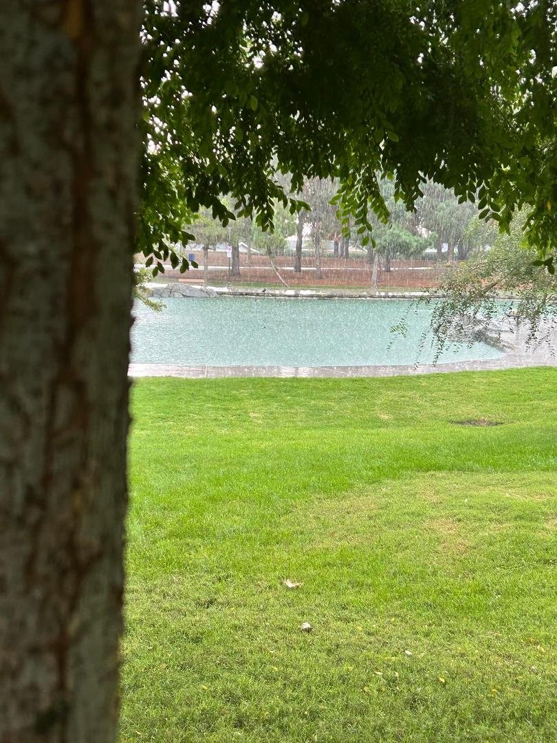 Red Hill Loop Walking Trail
Heavy Rain ~ Thunder ~ Lightning
Dave Said “Our walk turned into a jog”
LOL