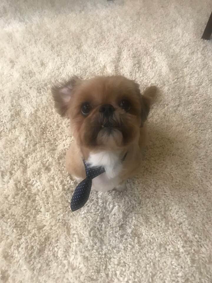 Henry