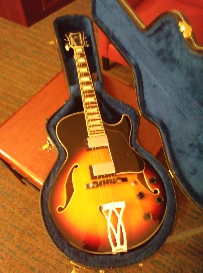 The Ibanez version of Steve Howe's Gibson's Es 175! I love it!