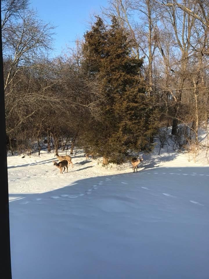 Our neighbors came to visit today.