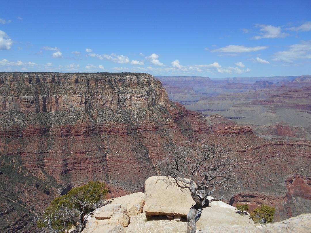 South Rim