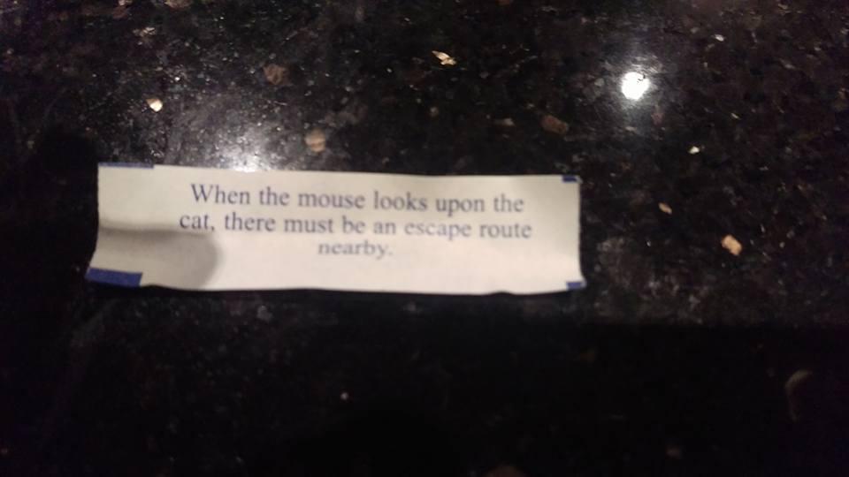 Drea Johnson's album, Timeline photos