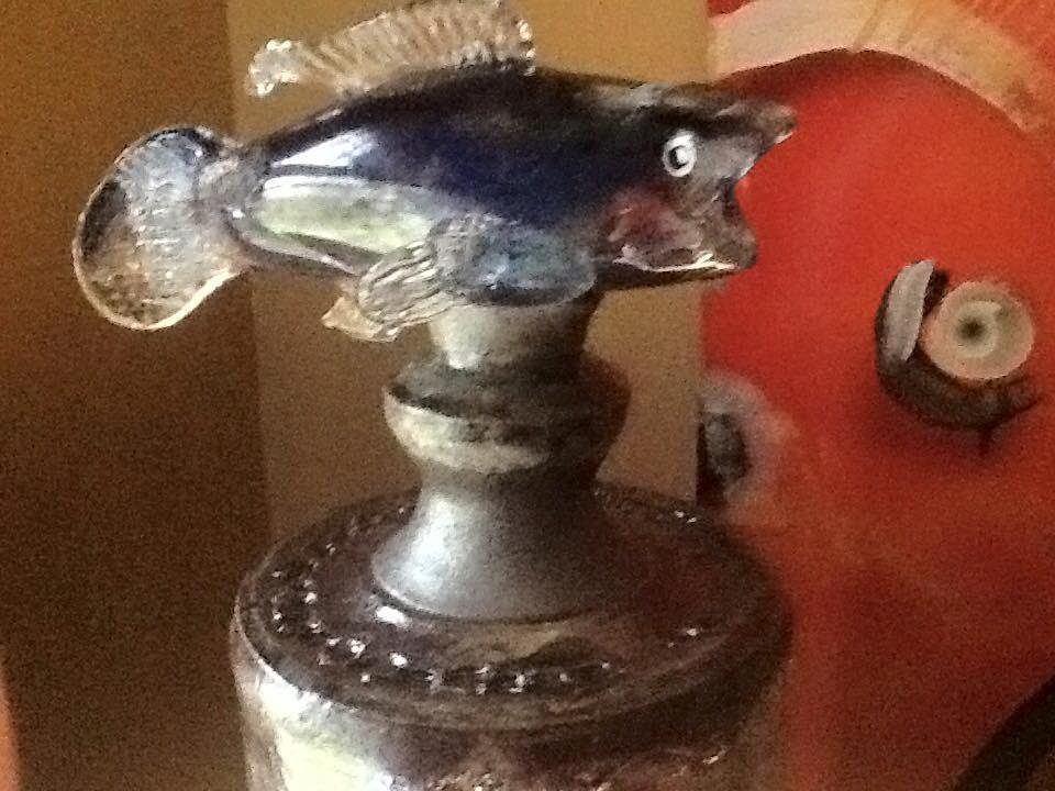 Dan Newman's album, Mobile Uploads