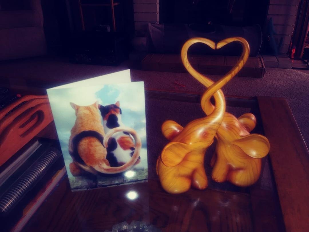 This is the 50th Anniversary card we got from long time friend Gina and the two elephants I got from Karl . Love to all my friends and family for your Anniversary wishes .