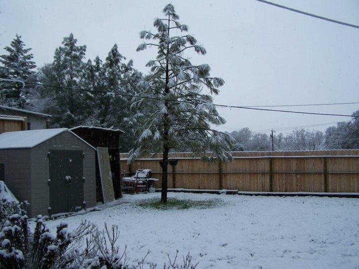 Backyard after 15 Min