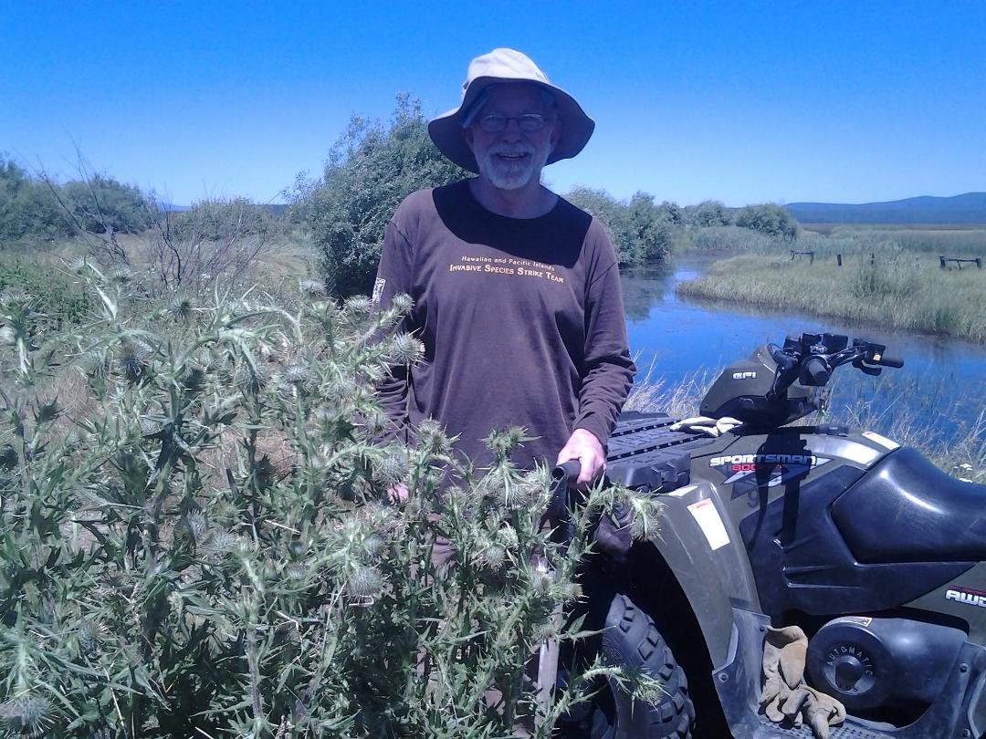 Pulling Russian Thistle.  Nasty stuff!