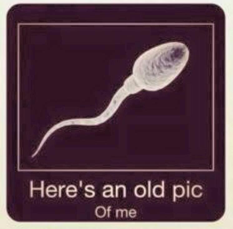 Tbt....